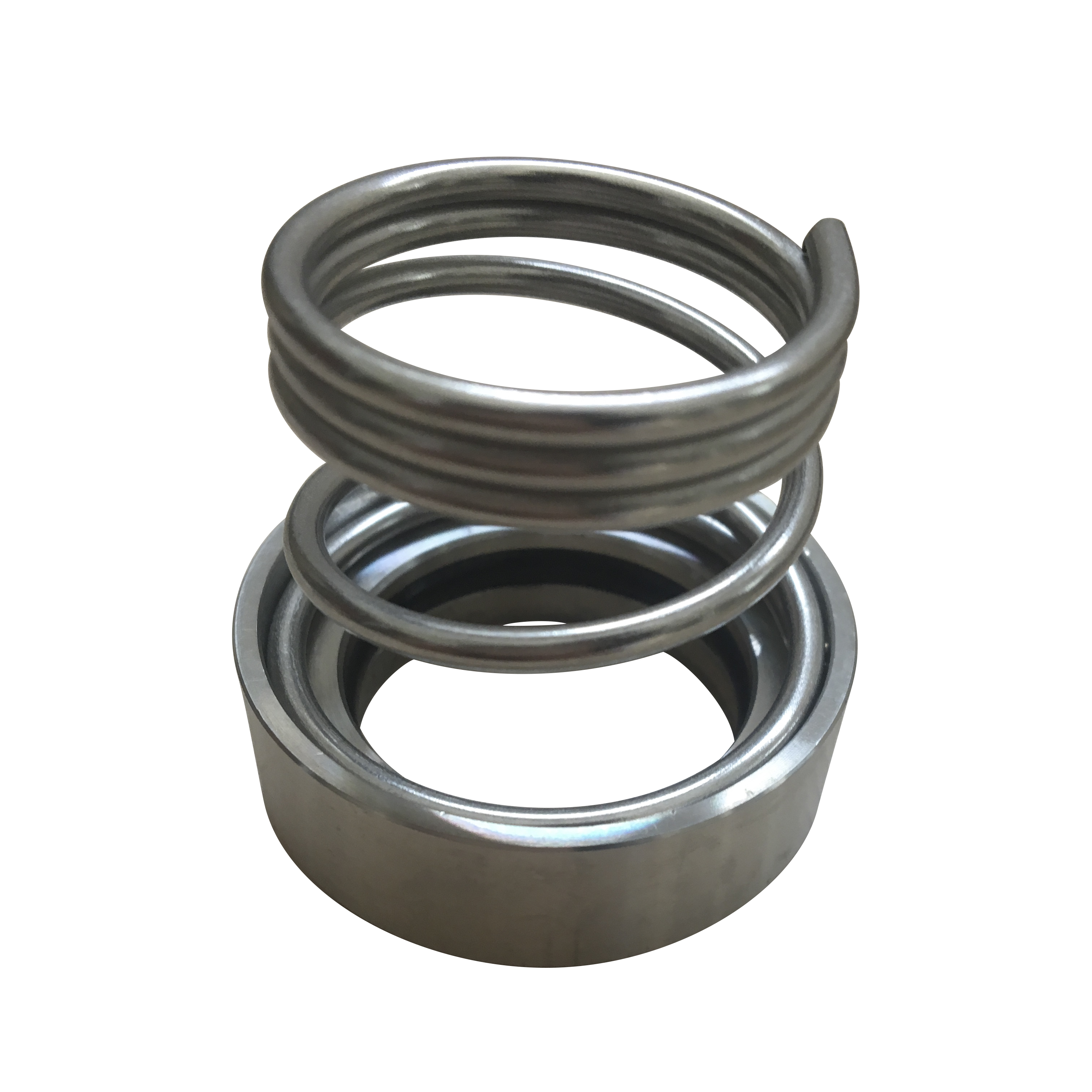 Mechanical seal detail