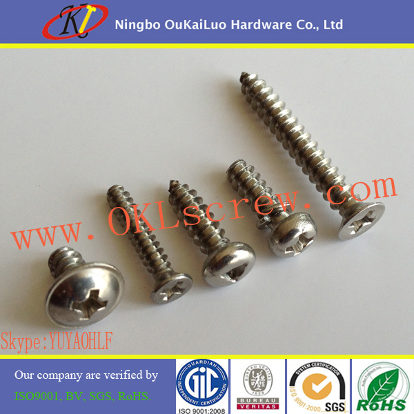 Stainless Steel Self-Tapping Fastener Screws