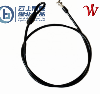 Stainless Steel Wire Rope Assembly with Fittings for Security Lock - Image 2