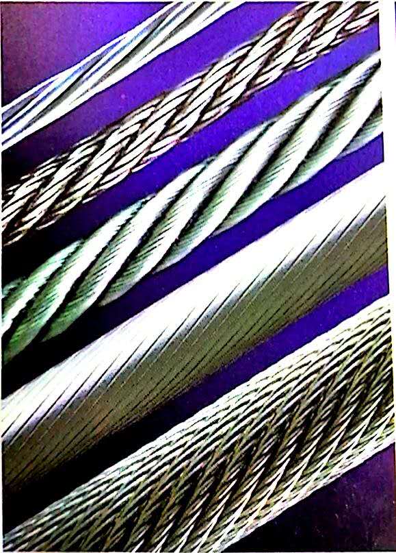 Stainless Steel Wire Rods