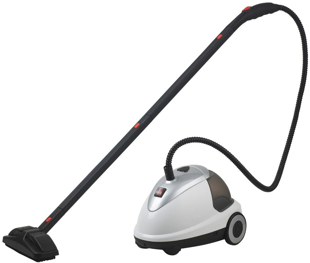 Canister Steam Cleaner with Wand