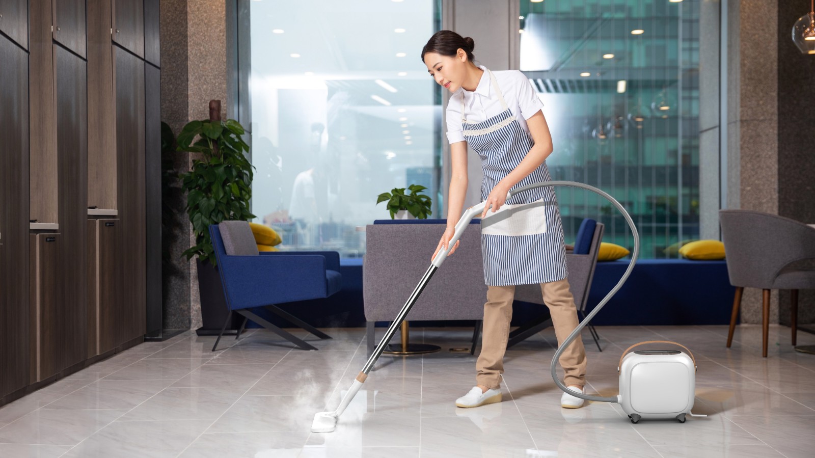 Household Steam Cleaner