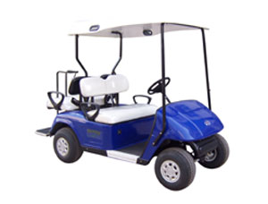 Electric Golf Cart for Recreational Use