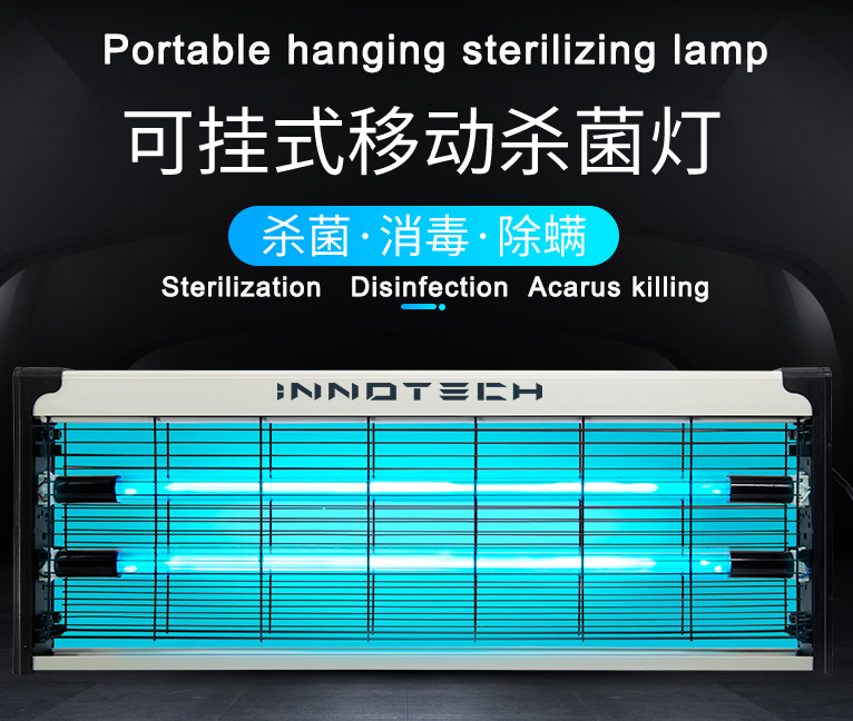 Portable UV Sterilization Lamp