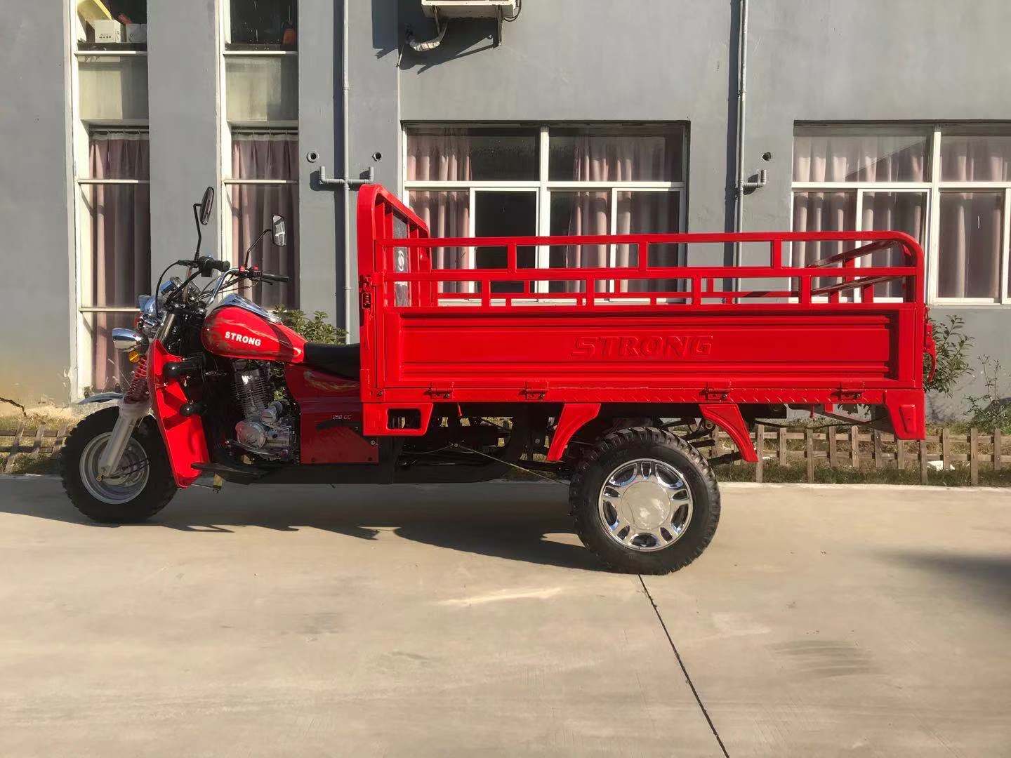 STRONG Gasoline Cargo Tricycle - Image 3
