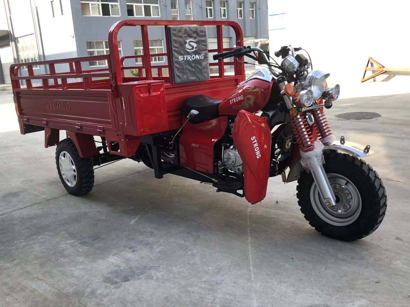 STRONG Gasoline Cargo Tricycle - Image 2