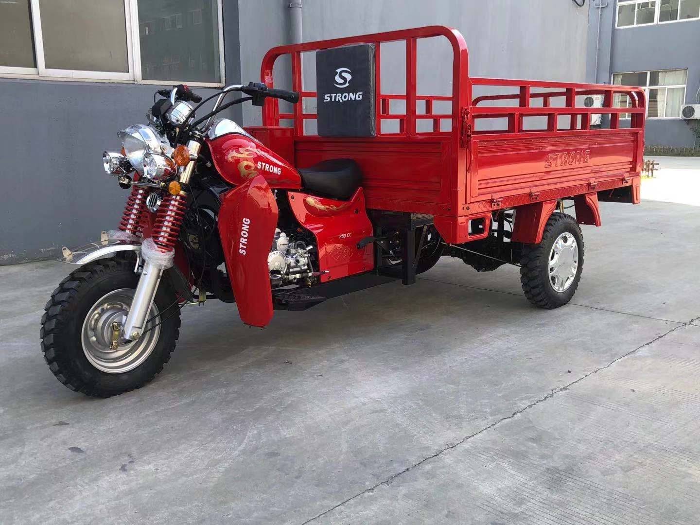 Gasoline Powered Cargo Tricycle with 250cc Engine