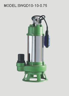 Submersible Water Pump with Float Switch