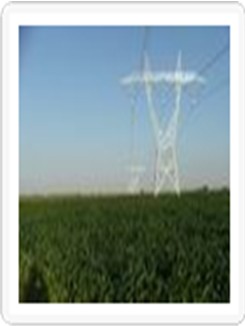 Power Transmission Tower Project Referral
