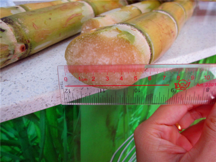 sugar cane juicer - Image 2