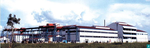 Industrial Sugar Refining Plant