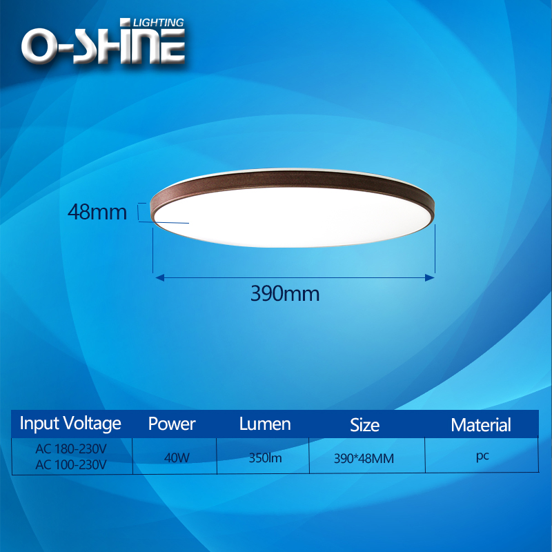 Slim Profile Ceiling Light