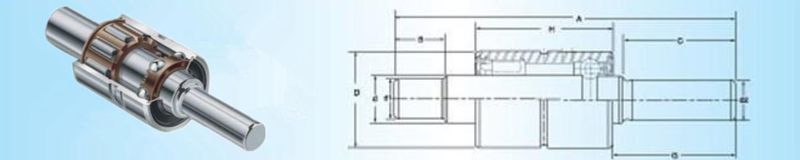 Technical schematic and profile view of the crowned roller water pump bearing