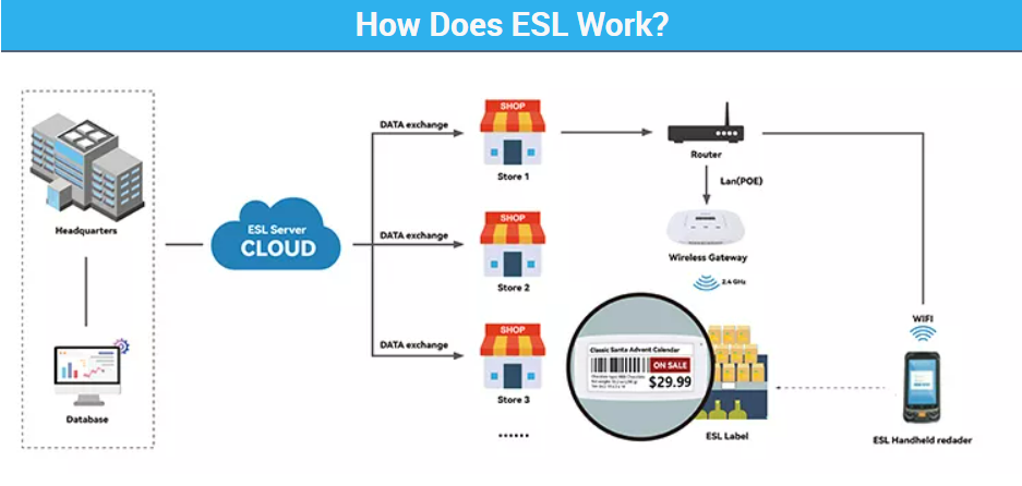 Diagram illustrating how the ESL network architecture functions
