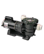 Swimming Pool Water Circulation Pump