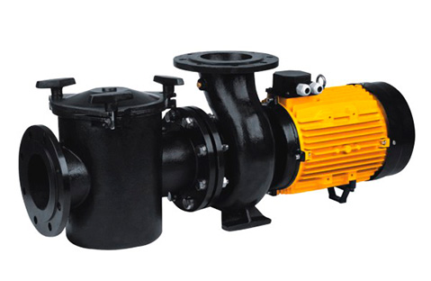 Swimming Pool Pump with Polymer Housing