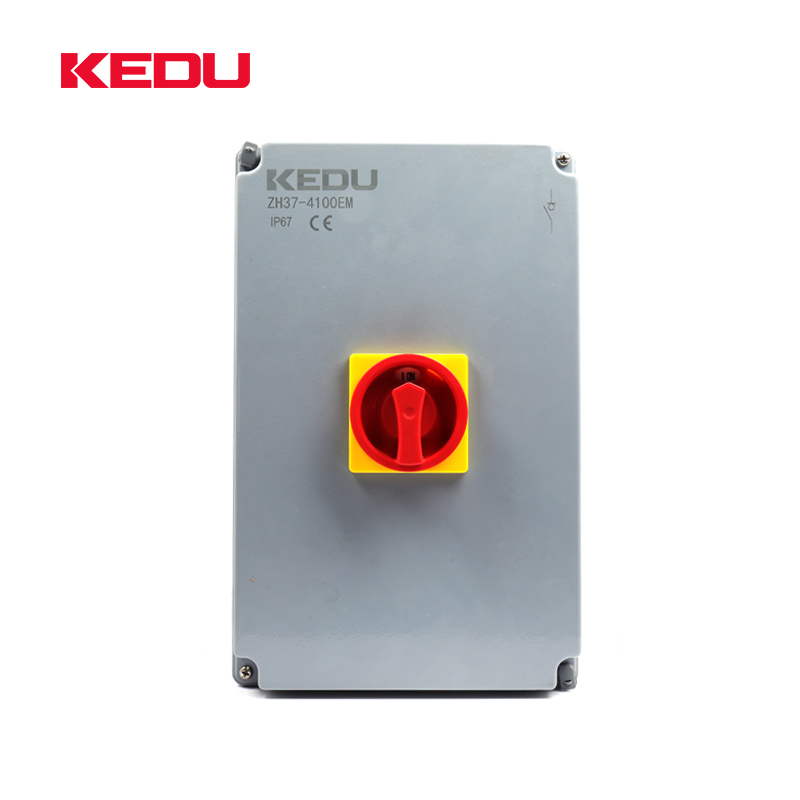 Switch-Disconnectors in Aluminium Enclosures IP67 IK08(100A 125A) - Image 2