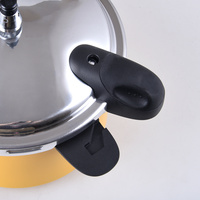 Stainless Steel Pressure Cooker with Locking Lid