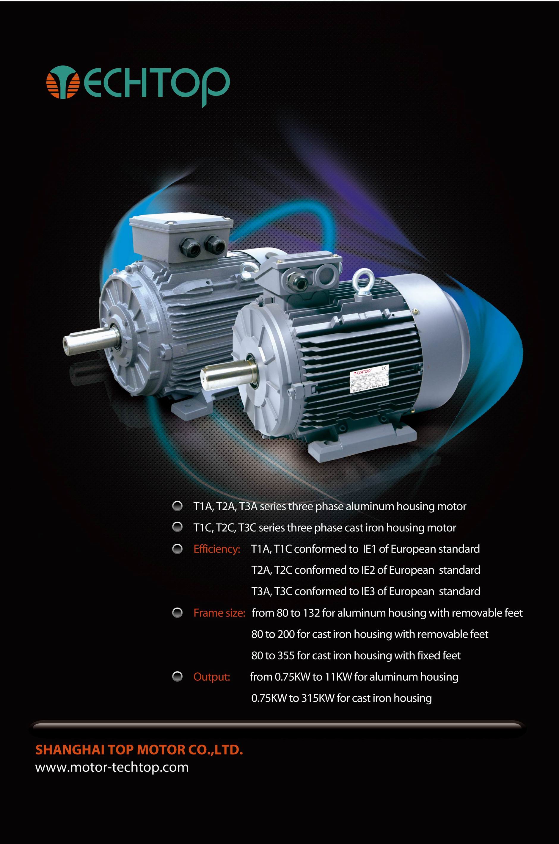 T series induction motors( IE1 IE2 IE3 IE4 efficiency) - Image 2