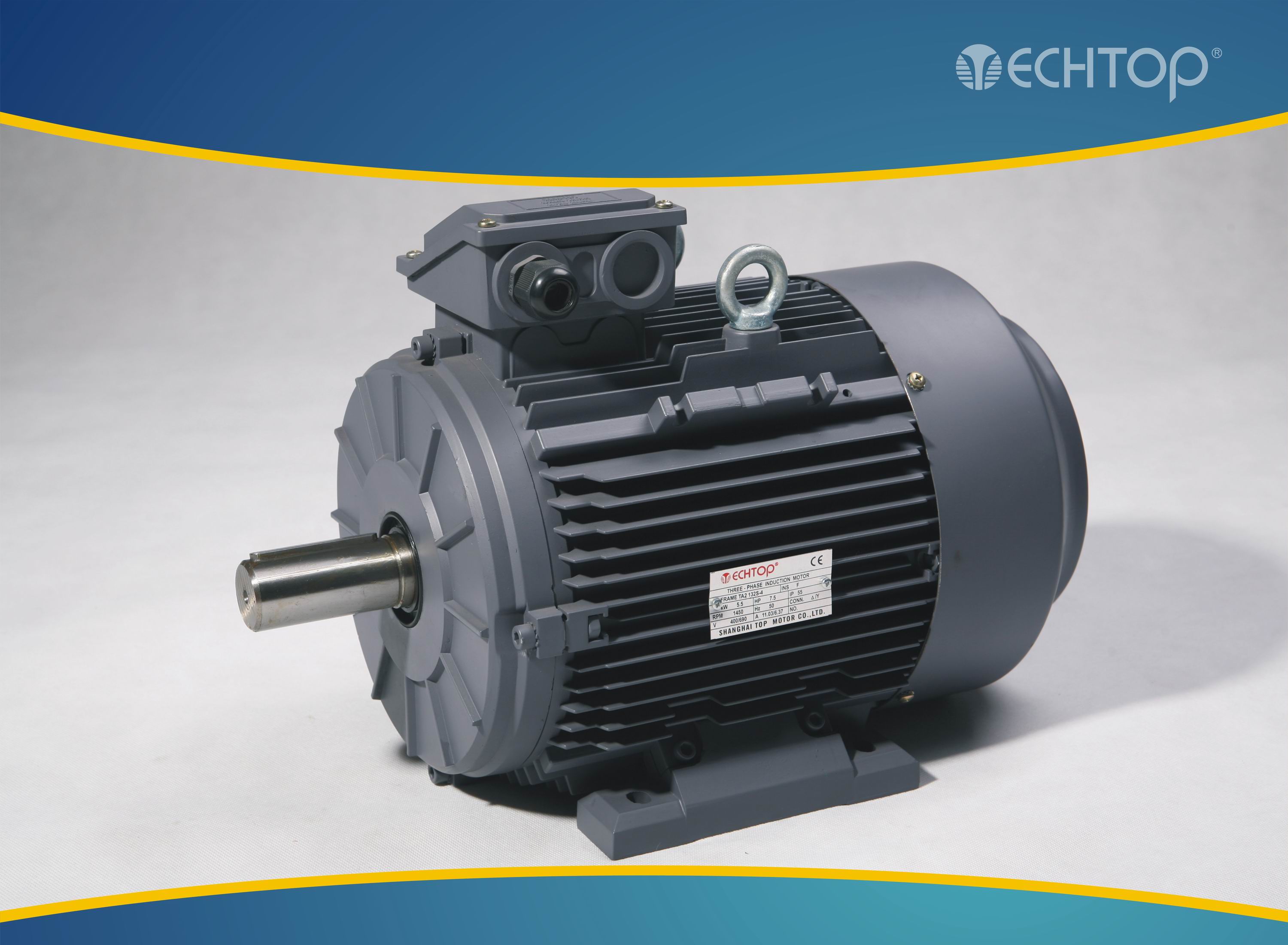 Three-Phase Induction Motor