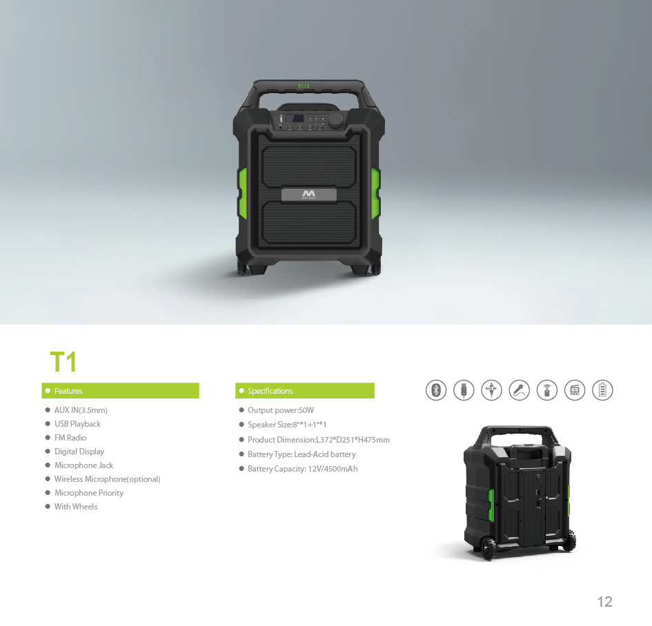 Portable Trolley Speaker with Microphone Support