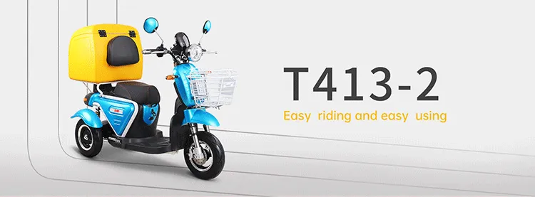 T413-2 electric delivery tricycle front profile