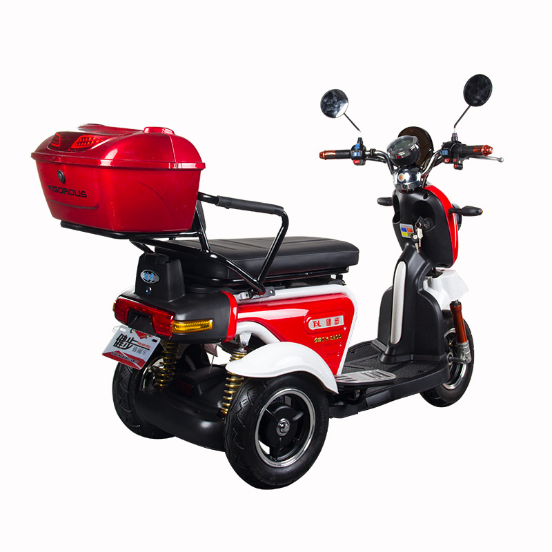 Adult Electric Tricycle with Seat