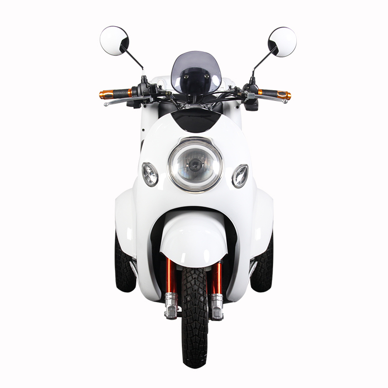 Adult Electric Tricycle with Rear Storage