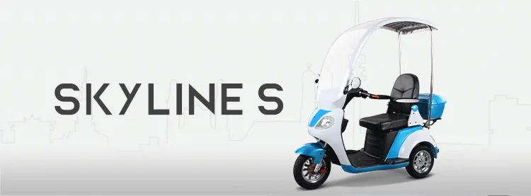 T418S electric tricycle overview