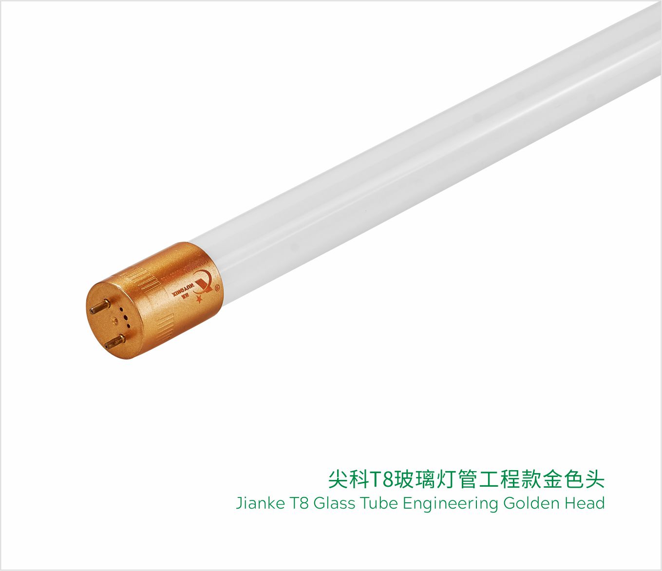 T8 LED Tube Light