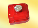 Small Engine Fuel Tank