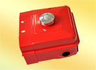 Small Engine Fuel Tank