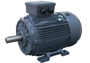 Cast Iron AC Induction Motor