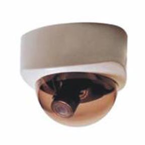 Indoor Fixed Dome CCTV Camera with Zoom