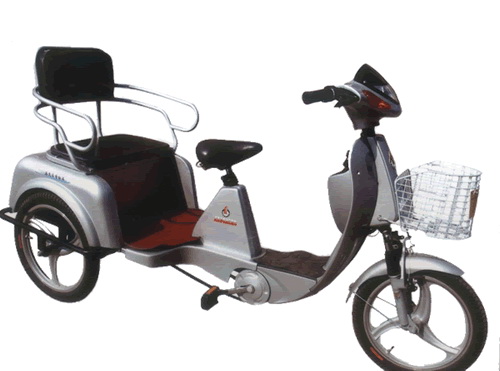 Electric Tricycle with Passenger Seat