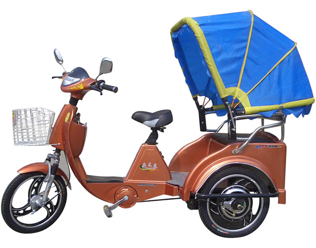 Copper Electric Personal Tricycle with Canopy