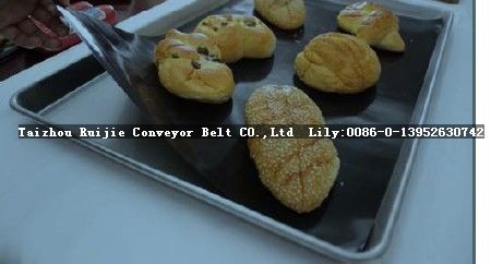 Teflon Fiberglass Fabric (C9025AJ, C9018AJ, C9035AJ, C9040AJ) - Image 3