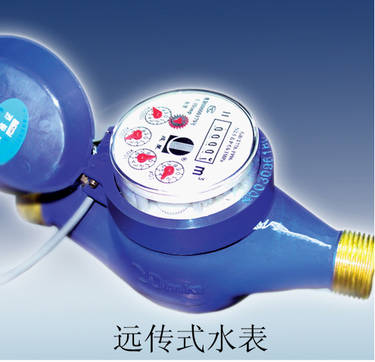 Remote Reading Water Meter