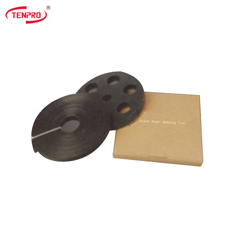 Black Epoxy Coated Stainless Steel Disc Cable Tie