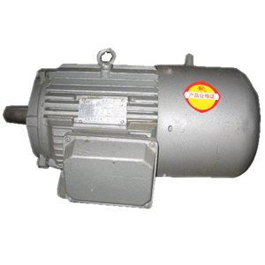 Electric Motor for Textile Machinery