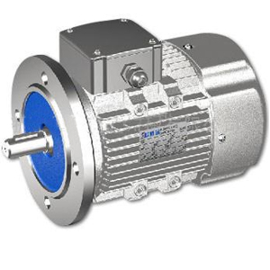 Electric Motor for Textile Machinery
