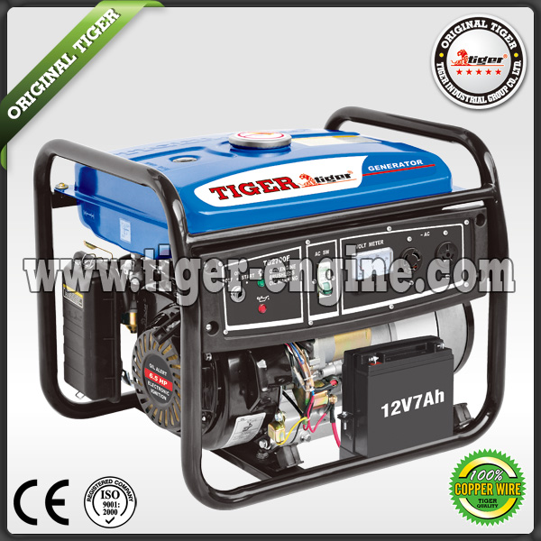 Portable Gasoline Generator