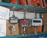 Digital Hanging Scale
