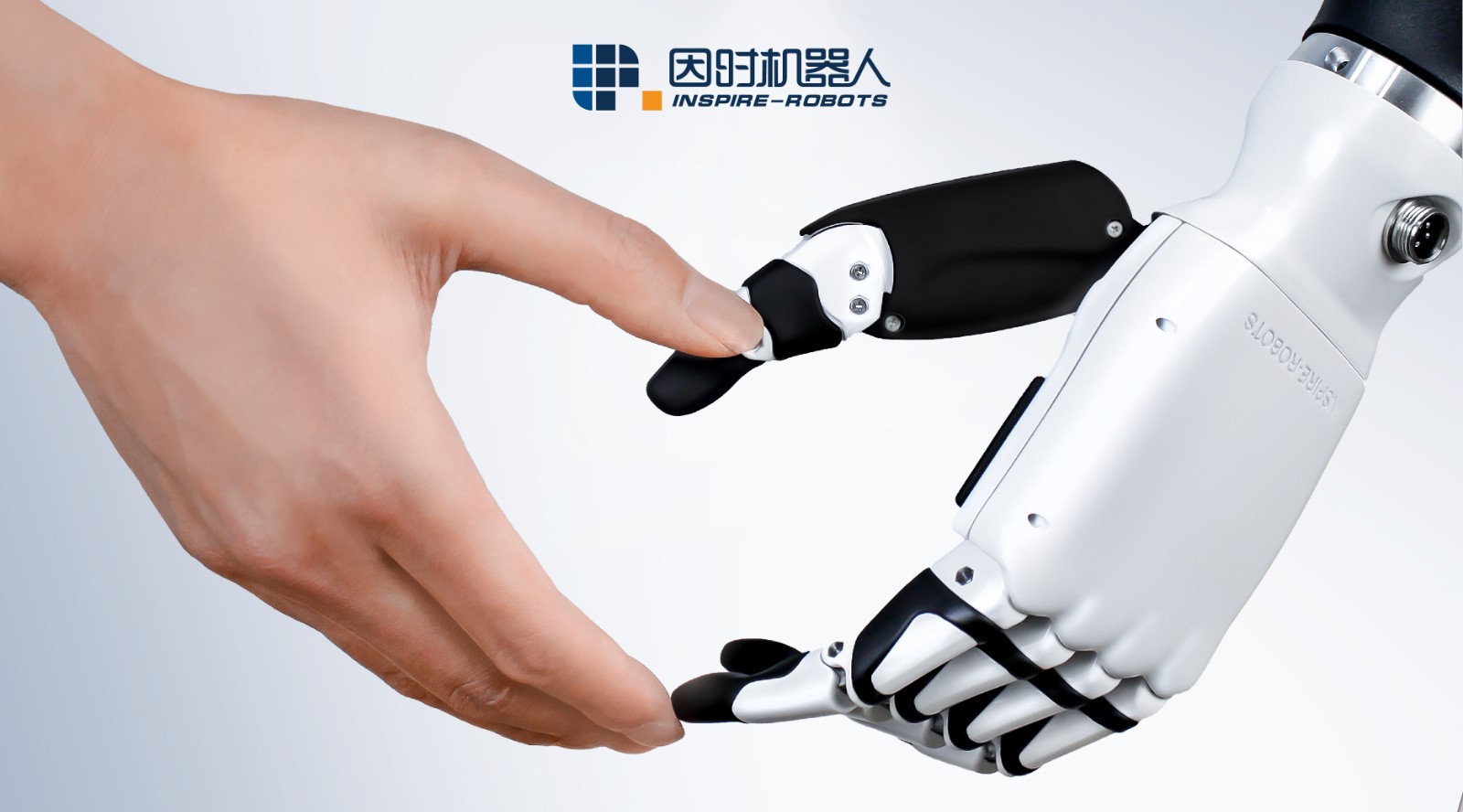 Dexterous Robotic Hand