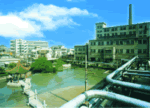 Pesticide Manufacturing Plant Engineering Project