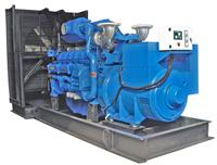 Diesel Generator Set for Continuous Power