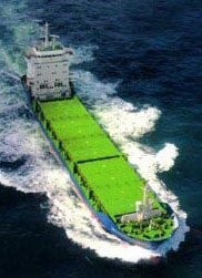 The ship - Image 2
