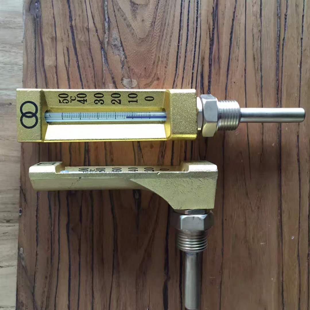 Analog Temperature Gauge with Circular Display