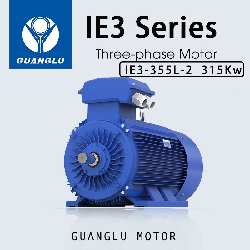 Three-Phase Asynchronous Motor IE3-355L-2 315kW - Image 2