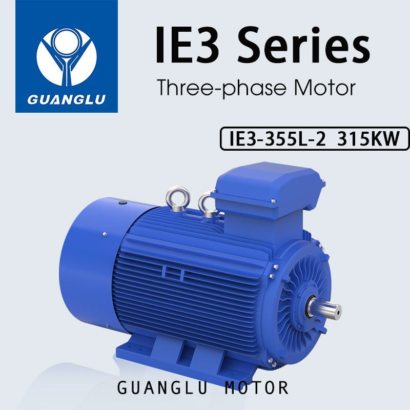 315kW Three-Phase Asynchronous Motor